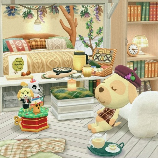 Pocket Camp