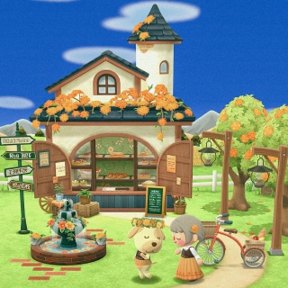 Pocket Camp