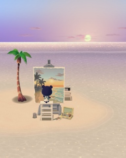 pocket camp