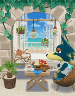 pocket camp