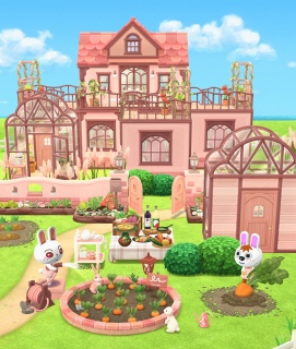 pocket camp