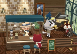 pocket camp