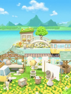 pocket camp