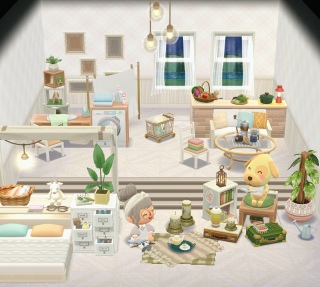 pocket camp